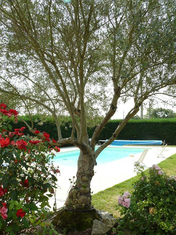 Le Clos De La Vigne Montreuil  Exteriér fotografie